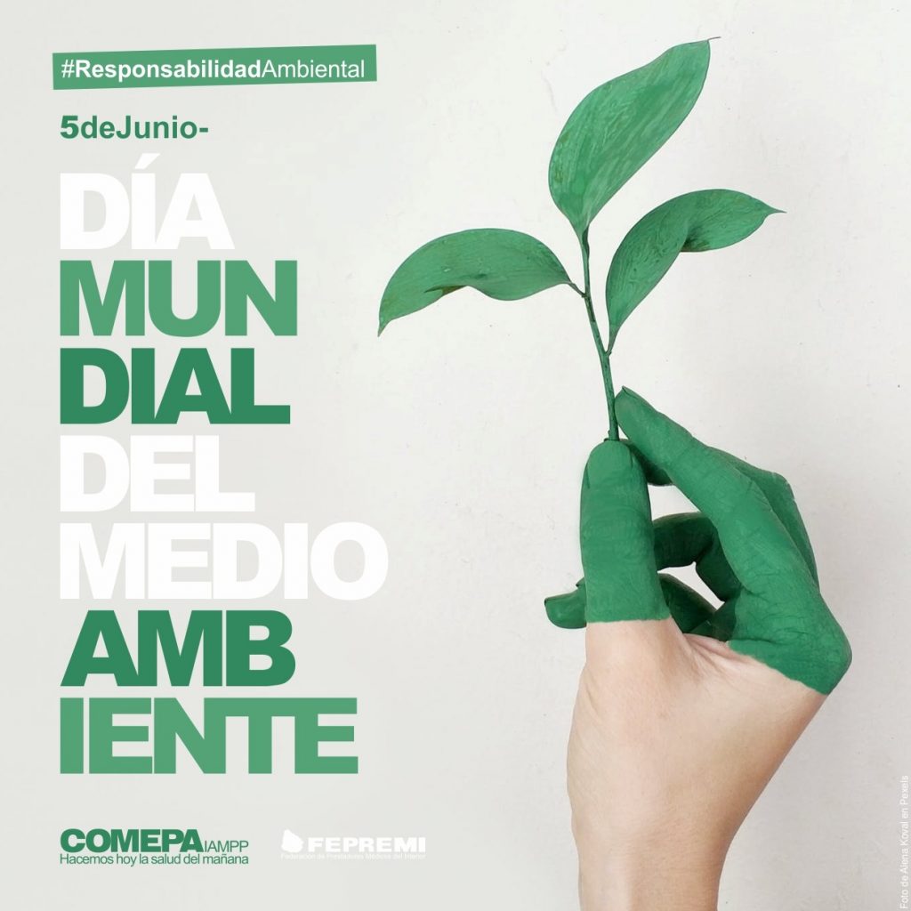 5 de Junio – Día Mundial del Medio Ambiente – COMEPA