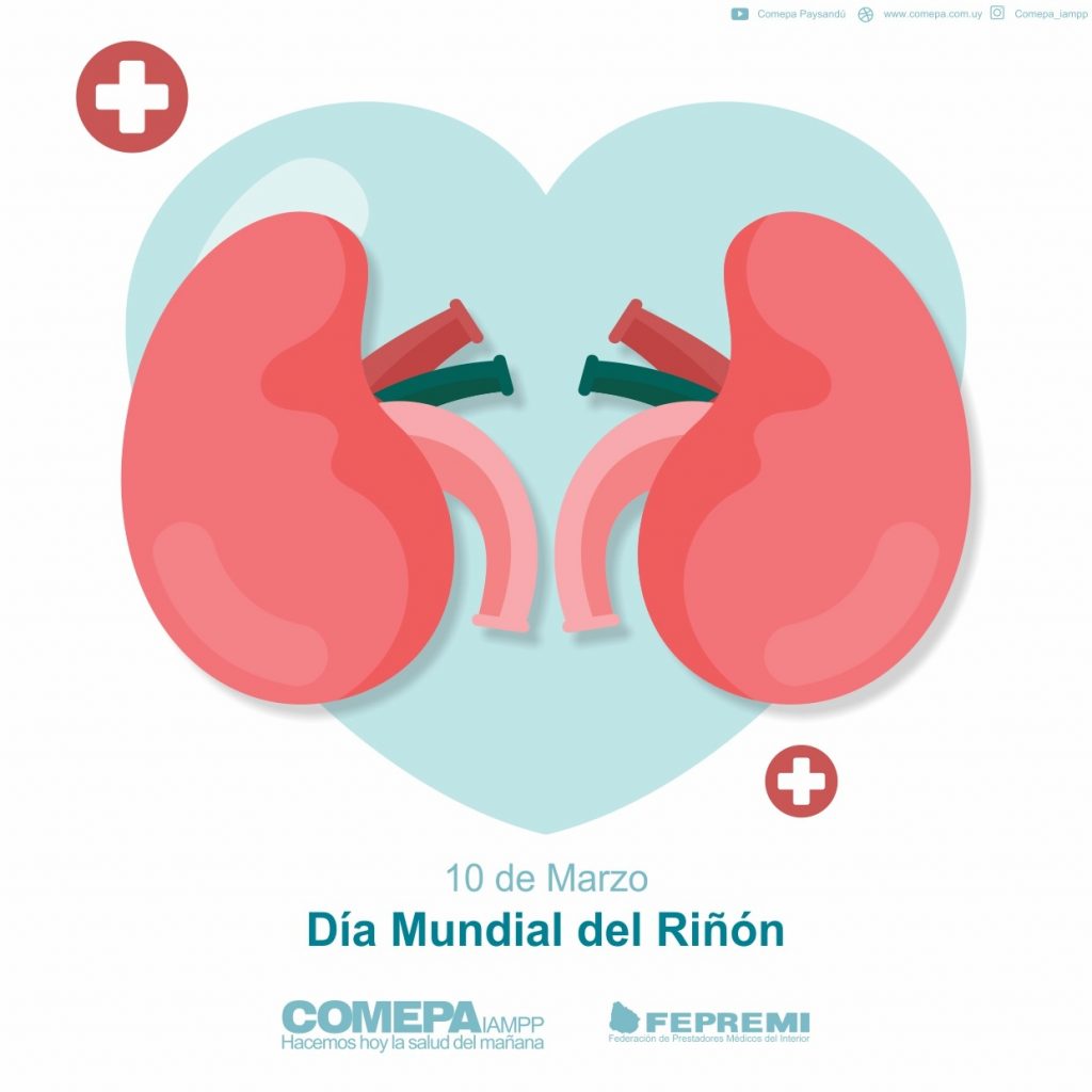 Día Mundial del Riñon. – COMEPA
