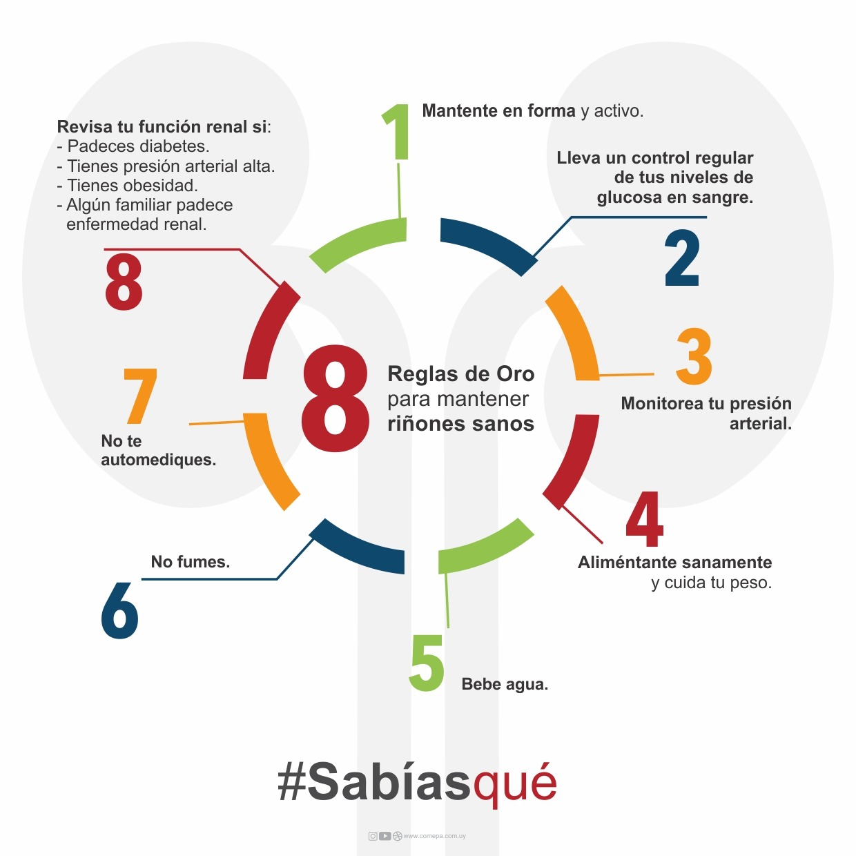 Día del riñon – COMEPA